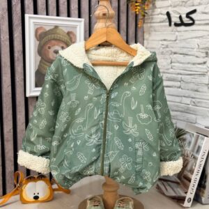 بارونی داخل تدی